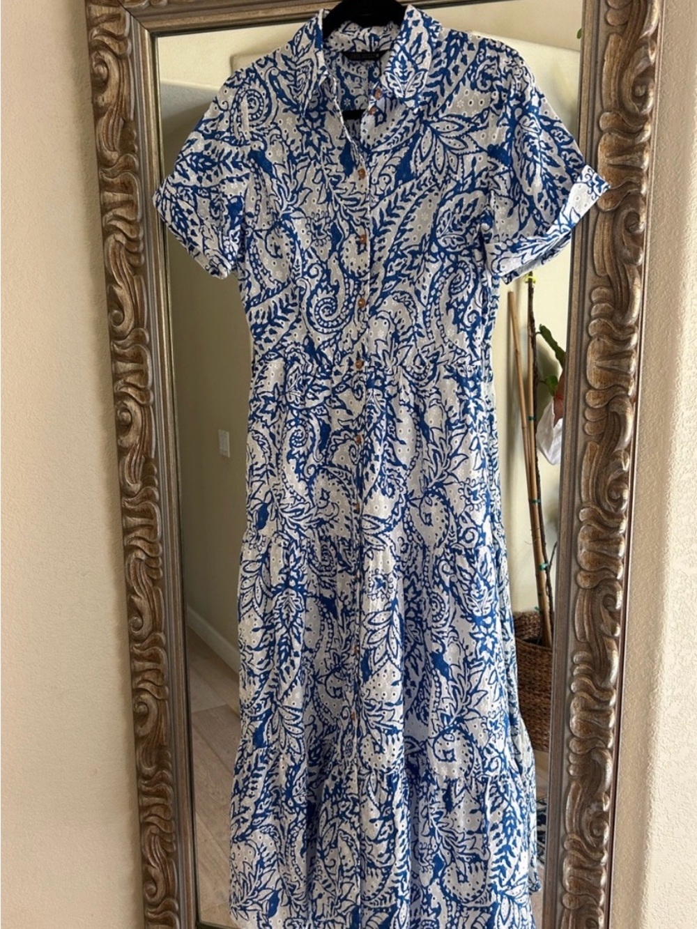 Zara Blue and White Paisley Maxi Dress